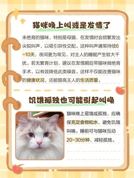梦到好多猫是什么意思_猫群梦境解析