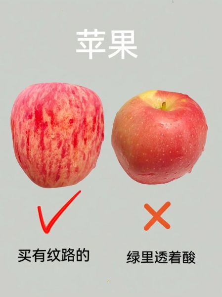 水果图片大全大图真实_如何挑选高清水果照片
