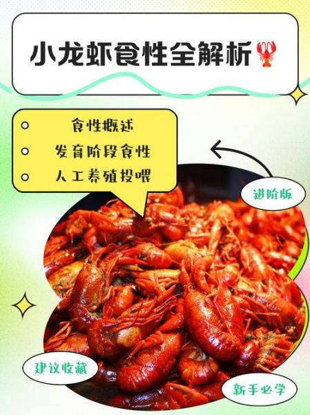 梦到好多龙虾是什么意思_龙虾梦境解析