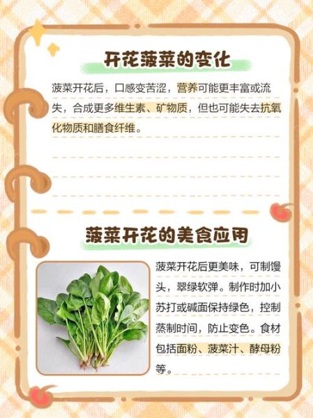 孕妇梦见菠菜是什么意思_孕妇梦到菠菜生男生女