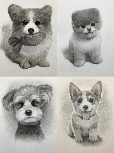 动物素描画图片大全_如何快速临摹