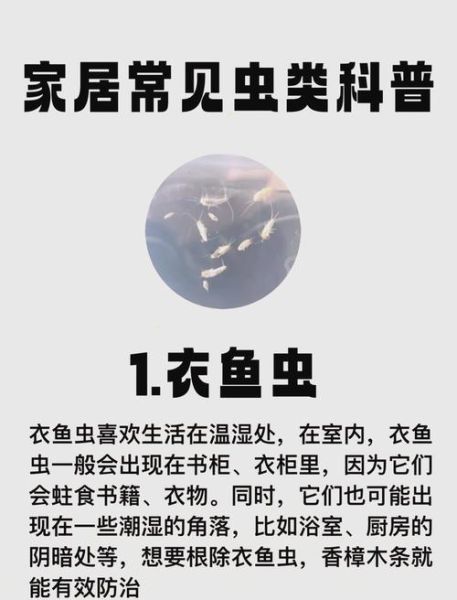 家中常见虫子图片大全_如何快速识别