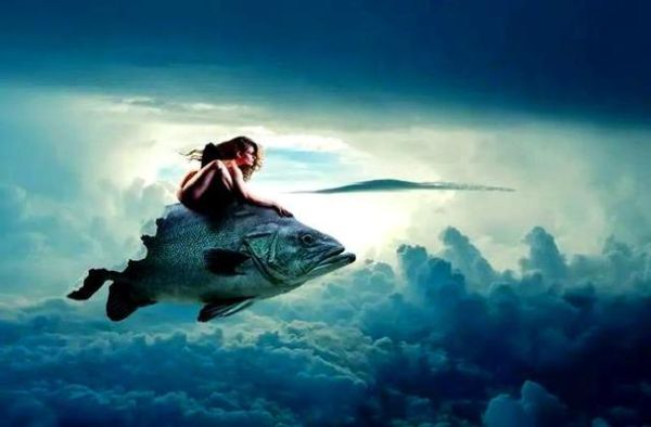 梦到别人钓鱼是什么意思_梦见别人钓鱼预示什么