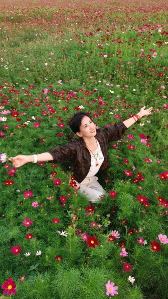 花丛图片大全_如何拍出花海氛围感