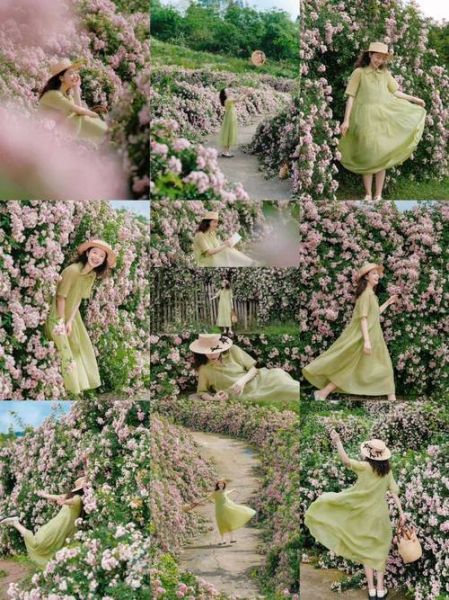 花丛图片大全_如何拍出花海氛围感