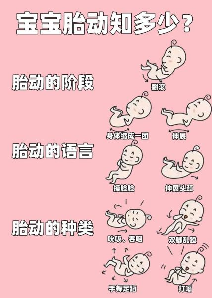 宝宝胎动频繁说明什么_胎动频繁正常吗