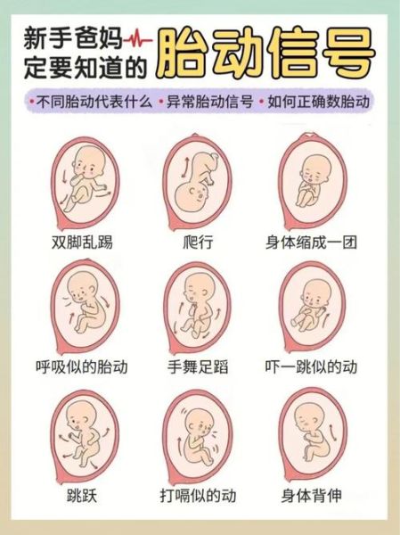 宝宝胎动频繁说明什么_胎动频繁正常吗