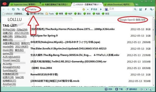 梅花迅雷下载_怎么使用最安全