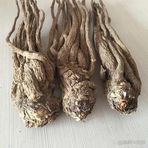 当归长什么样_当归图片大全怎么分辨真假