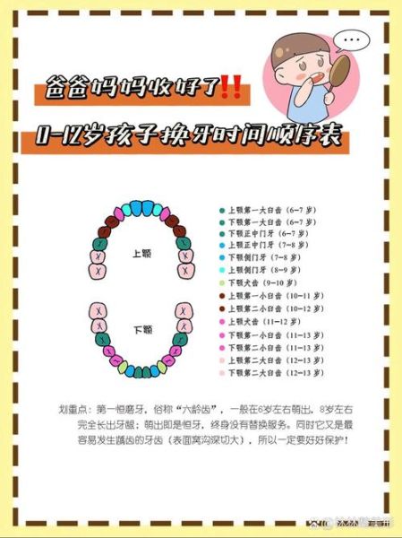 宝宝换牙是全部都换吗_乳牙全部会换吗