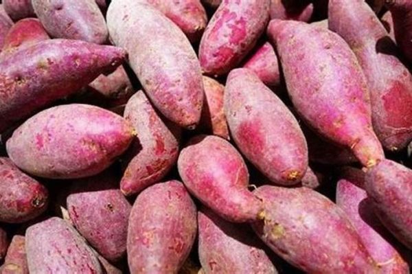 梦到买红薯是什么意思_梦见买红薯周公解梦