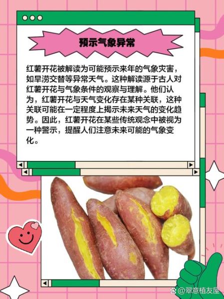 梦到买红薯是什么意思_梦见买红薯周公解梦