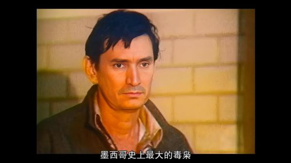 毒枭迅雷下载_哪里能看完整版