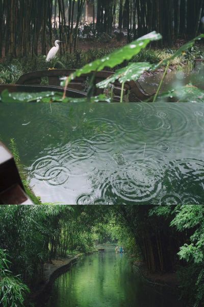 言叶之庭迅雷下载_如何安全获取高清资源