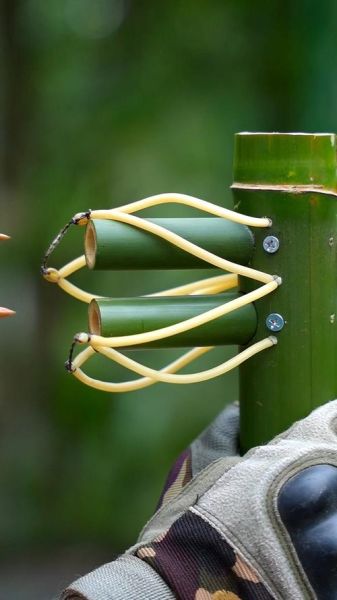 梦到竹竿是什么意思_竹竿梦境解析