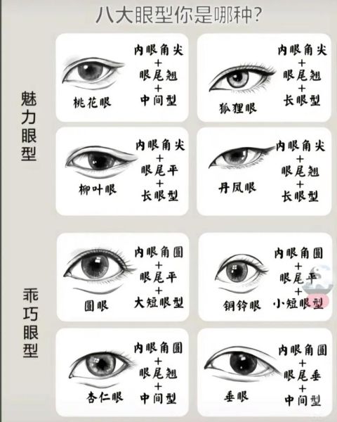 眼型大全名称及图片_如何判断自己属于哪种眼型