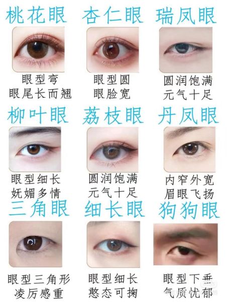 眼型大全名称及图片_如何判断自己属于哪种眼型