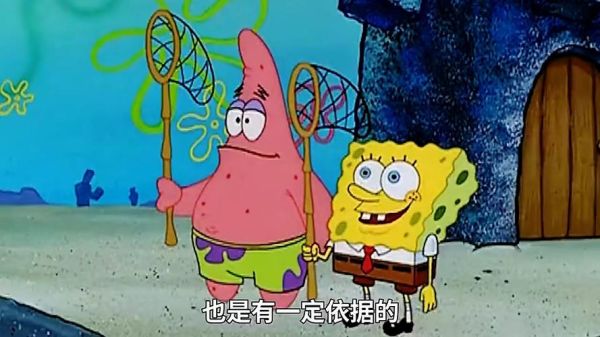 海绵宝宝是什么生物_海绵宝宝原型是哪种海绵