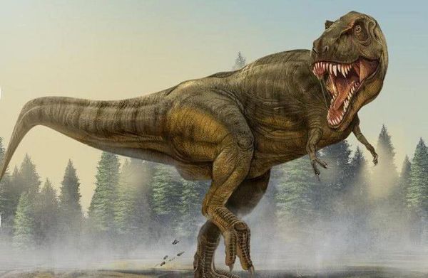 暴龙图片大全_高清暴龙壁纸哪里找