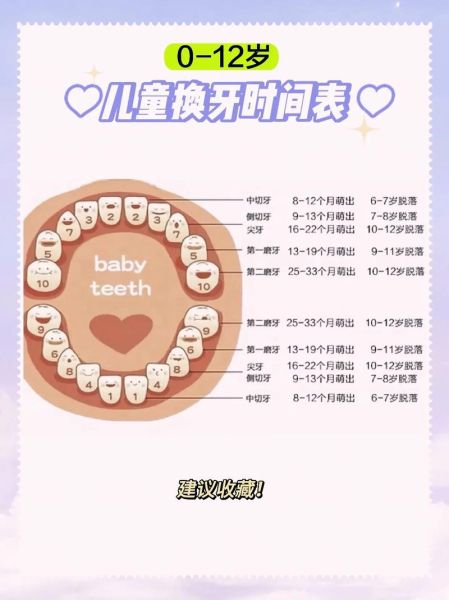 宝宝掉牙正常吗_乳牙脱落顺序