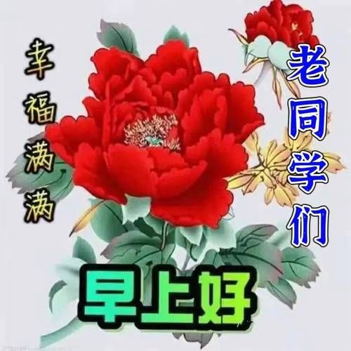 老同学早上好图片大全_如何挑选不踩雷