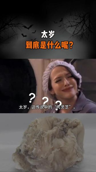 梦到太岁是什么意思_梦到太岁是吉是凶