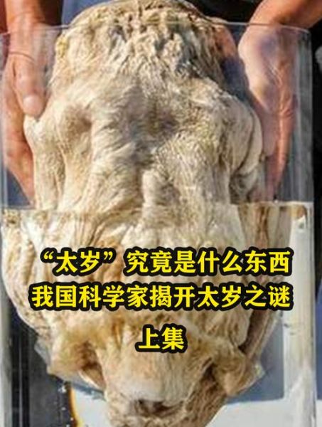 梦到太岁是什么意思_梦到太岁是吉是凶