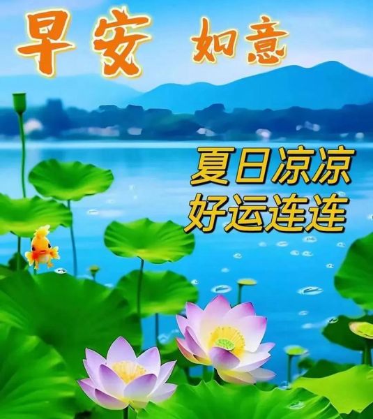 夏天问候图片大全_如何挑选清凉配图