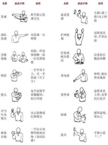 排球图片大全_排球动作图解怎么拍