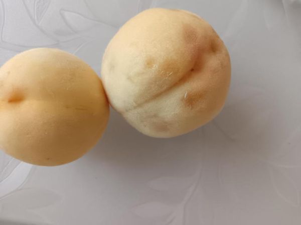 梦到偷桃子是什么意思_偷桃子梦境解析