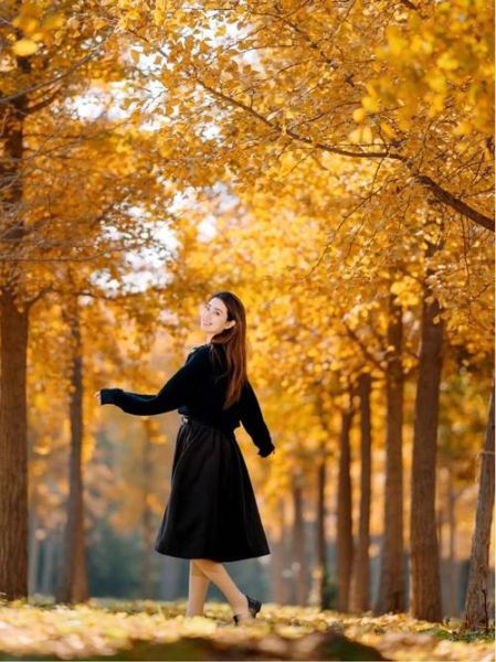 深秋图片大全_如何拍出氛围感