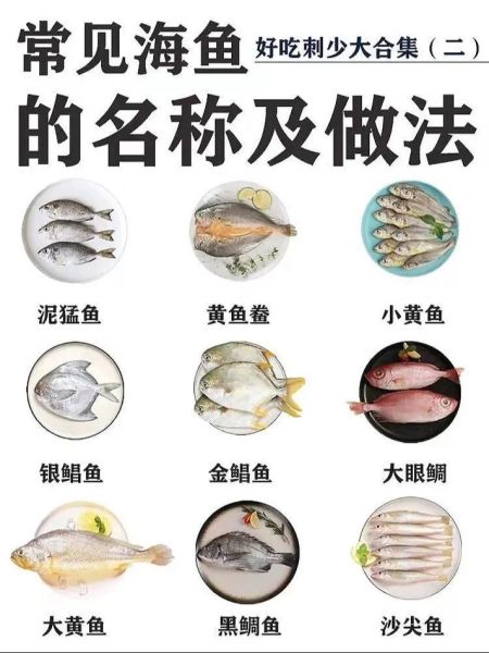 海鱼图片大全及名称_如何快速识别常见海鱼