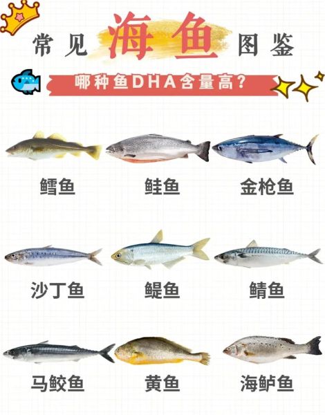 海鱼图片大全及名称_如何快速识别常见海鱼