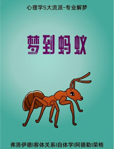 梦到大蚂蚁_是什么意思