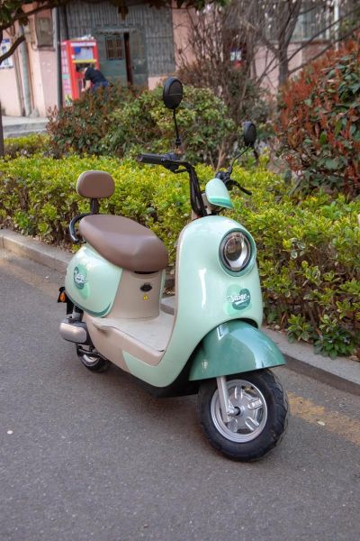 电瓶车图片大全_电瓶车款式有哪些