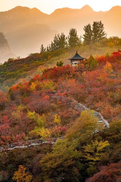 香山图片大全哪里找_香山红叶什么时候最红