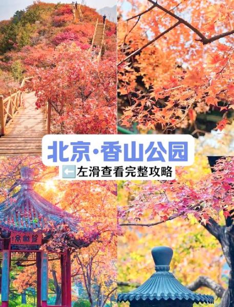 香山图片大全哪里找_香山红叶什么时候最红