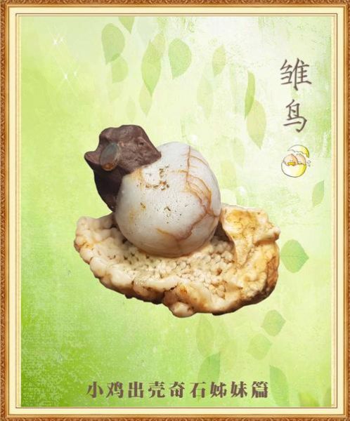 梦到小鸡破壳而出是什么意思_周公解梦原版解析