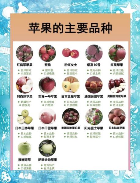 苹果图片大全_苹果品种图片及名称