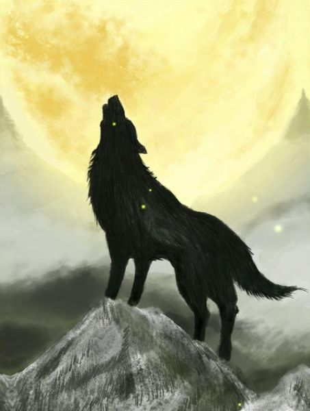 梦到狼咬我是什么意思_被狼咬预示什么