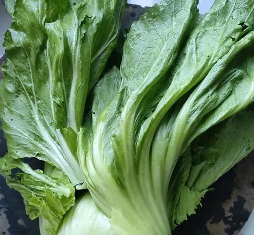 梦到菜是什么意思_梦见蔬菜吉凶解析