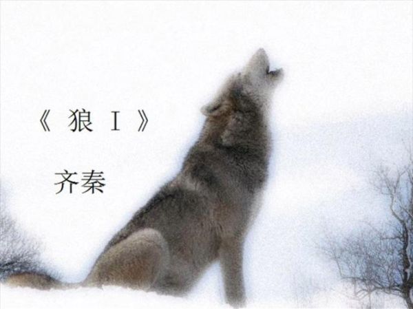 梦到狼咬我是什么意思_被狼咬预示什么