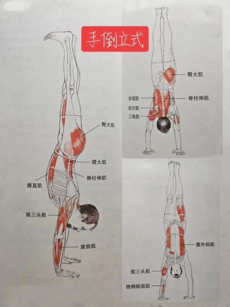 倒立图片大全_如何正确练习倒立