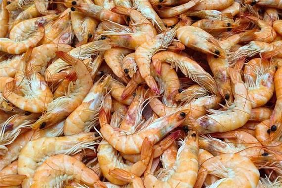 梦到捉虾是什么意思_梦见捉虾的预兆