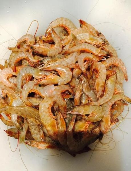 梦到捉虾是什么意思_梦见捉虾的预兆