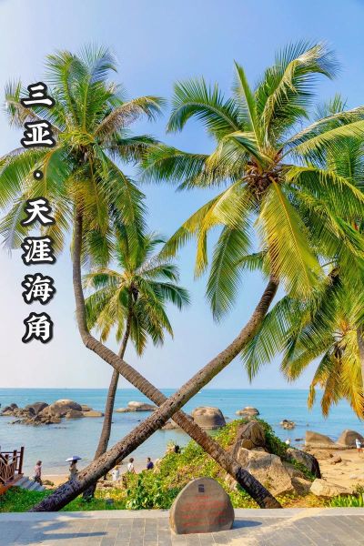 天涯图片大全怎么找_天涯图片大全有哪些分类