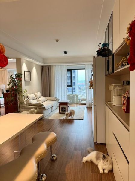 精装房图片大全_装修风格怎么选