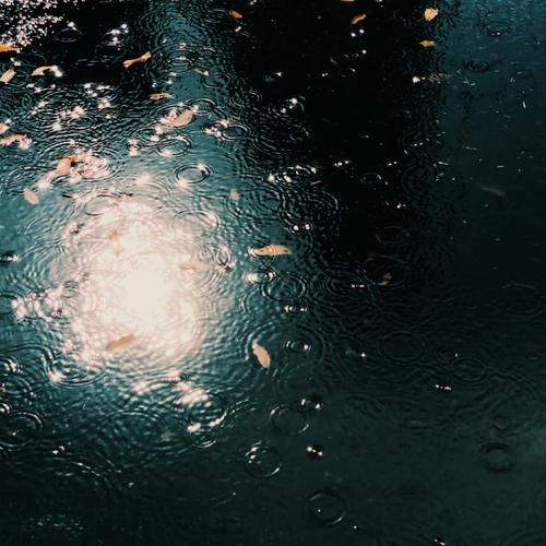 雨图片大全哪里找_雨天意境图怎么拍