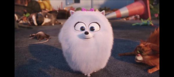 爱宠大机密迅雷下载_如何找到高清资源