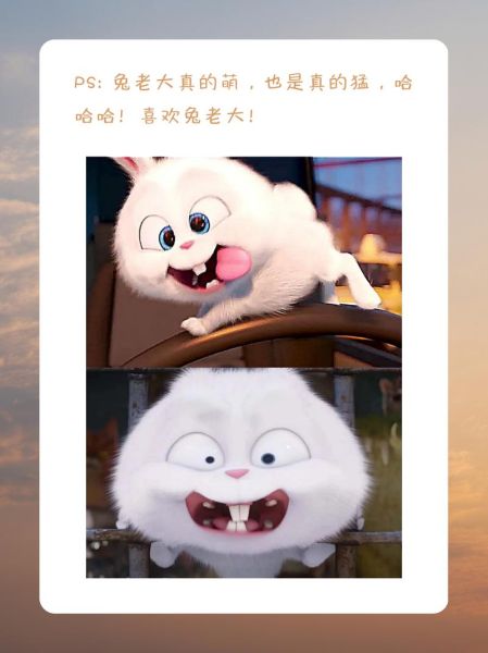 爱宠大机密迅雷下载_如何找到高清资源